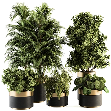 Modern Indoor Plant Set 3D model image 1 