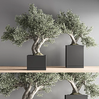 Indoor Bonsai Set: Zen Collection 3D model image 1 
