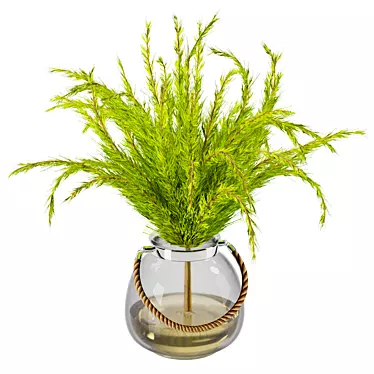 Stylish Indoor Plant - 2016 3D model image 1 