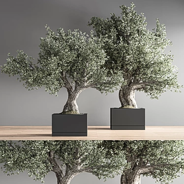 28-Piece Indoor Bonsai Plant Set 3D model image 1 