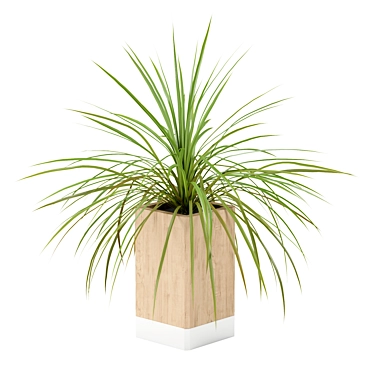 Minimalist Wooden Pot with Small Plant 3D model image 1 