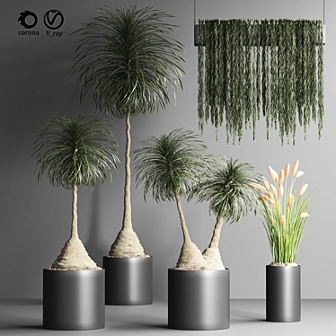 Indoor Plant Collection - Set of 12 3D model image 1 
