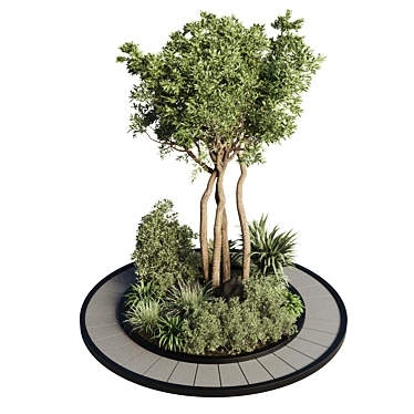 Outdoor Circle Garden Pot for 72 Palm Trees, Bushes, Ferns, and Grass 3D model image 1 