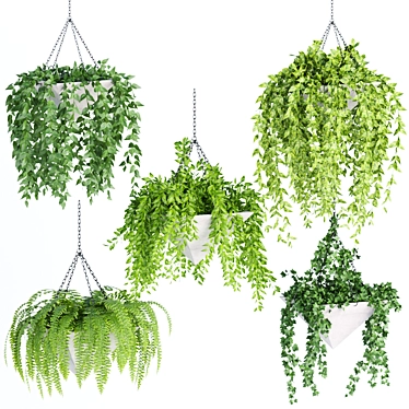 Indoor Hanging Plant Collection: Volume 60 3D model image 1 