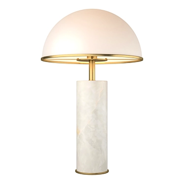 Eichholtz table lamp Vaneta