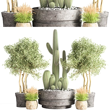 Modern Indoor Plant Set 3D model image 1 