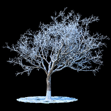 Snowy Winter Apple Tree 3D model image 1 