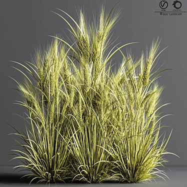 Wheat Fields 3D Model 3D model image 1 