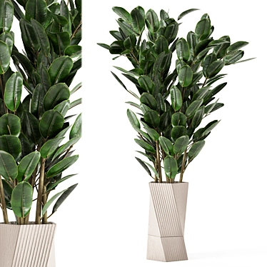 Carmen Terracotta Indoor Plants Set with Ficus 3D model image 1 