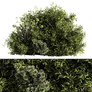 Lush Greenery Mix - 56 Piece Bush Set 3D model image 1 