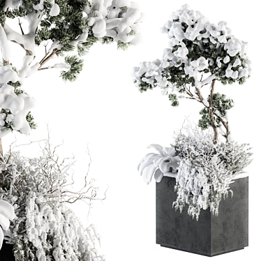 Snowy Plant Box Set: Outdoor Plants in a Winter Wonderland 3D model image 1 