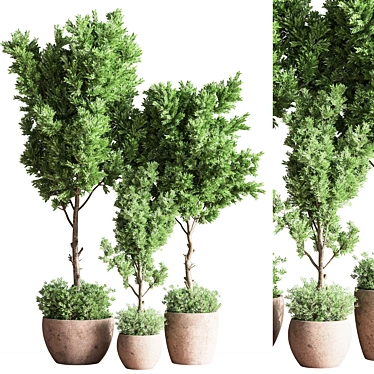 Versatile Indoor Plant Set 3D model image 1 