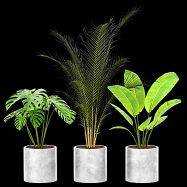 Green Oasis Indoor Plant Set 3D model image 1 