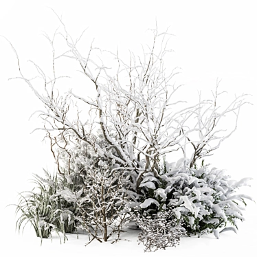 Snowy Mixed Plant Bush - Set of 59 3D model image 1 