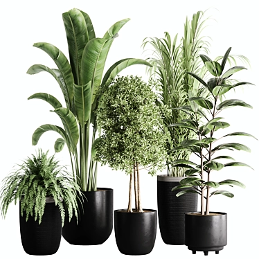 10-Piece Indoor Plant Set: V-Ray/Corona 2015 3D model image 1 