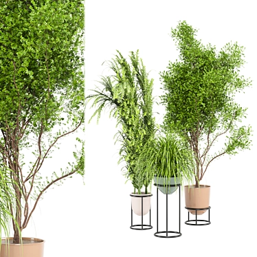 Ferm Living Bau Pot Large - Indoor Plants Set 3D model image 1 