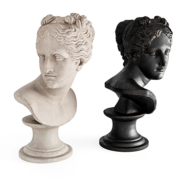 Elegant Venus Marble Bust 3D model image 1 