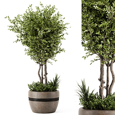 Rustic Concrete Pot with Outdoor Bush and Tree 3D model image 1 