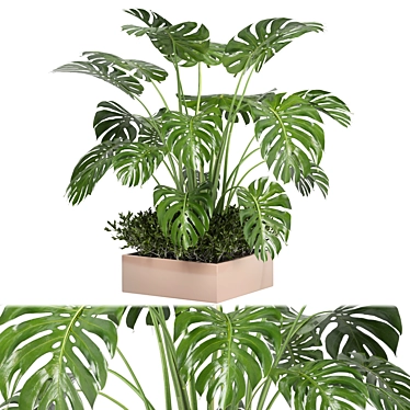 Bau Pot Large Indoor Plants Set 3D model image 1 