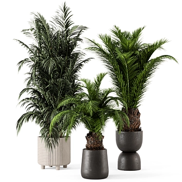 Rustic Concrete Pot Plant Set 3D model image 1 