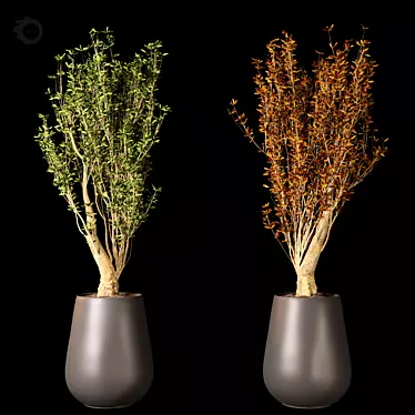 High-Quality 3D Plant Model 3D model image 1 