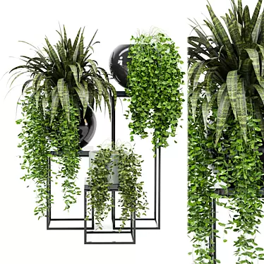 Indoor Greenery Collection - Set 171 3D model image 1 