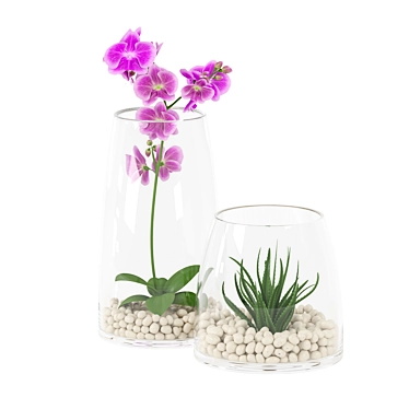 Elegant Orchid in Glass Pot 3D model image 1 