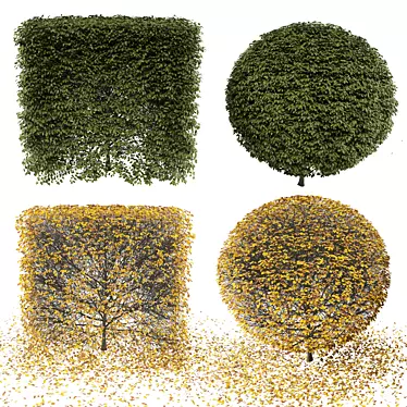 Lush Greenery Bush for 3D Rendering 3D model image 1 
