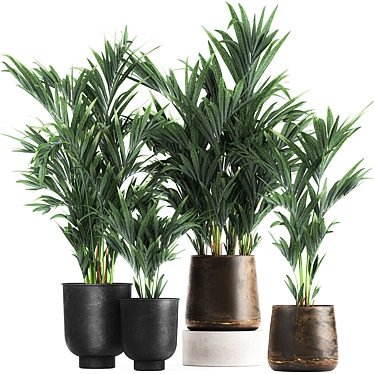 Exotic Plant Collection: Indoor & Outdoor Decor 3D model image 1 