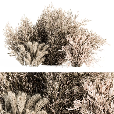 Serene Pampas: Dried Bush Set 3D model image 1 