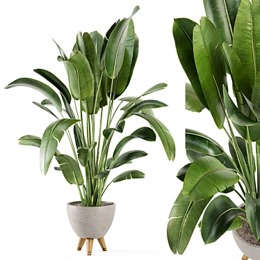 Rusty Concrete Pot Indoor Plants - Set 405 3D model image 1 