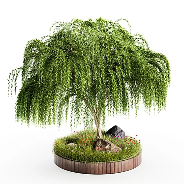 Title: Weeping Willow Tree - Outdoor Garden Design 3D model image 1 