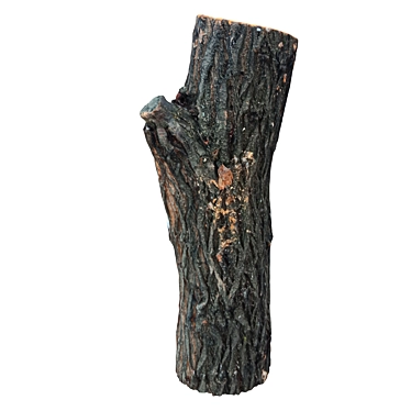Natural Wood Trunk 3D model image 1 