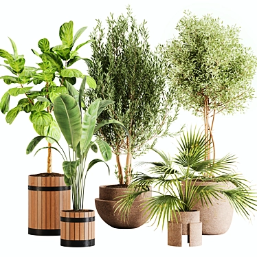 Lush Greenery Indoor Plant Set 3D model image 1 