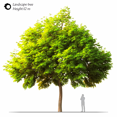 Sculpted Landscape Tree - 2014 Design 3D model image 1 