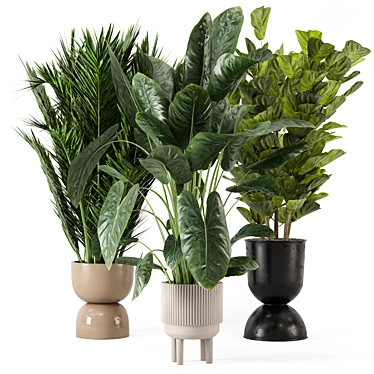 Ferm Living Bau Pot: Large Indoor Plant Set 3D model image 1 