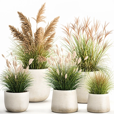Exotic Plant Collection in Concrete Pots 3D model image 1 