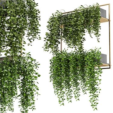 Elevate Your Space with Hanging Plants 3D model image 1 