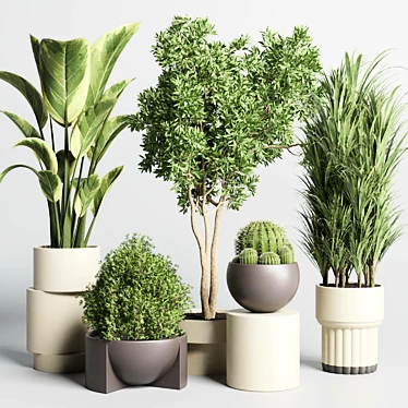 Minimalistic Indoor Plant Collection 3D model image 1 