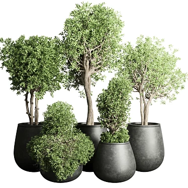 Concrete Tree Pots: Collection-Ready for Indoor/Outdoor 3D model image 1 