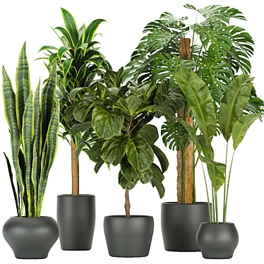 286 Indoor Leaf Collection: High-Quality, Lightweight Plants 3D model image 1 