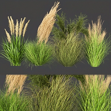 Outdoor Grass Collection: Vol. 287 3D model image 1 