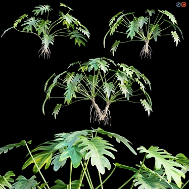 Title: Tropical Vibes: Philodendron Xanadu 3D model image 1 