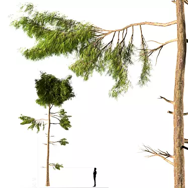  Rustic Pine Tree Sculpture 3D model image 1 