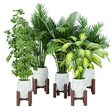 Elegant Indoor Plant Collection 3D model image 1 