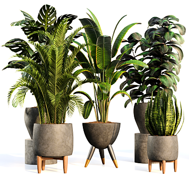 Houseplant Verdun Green