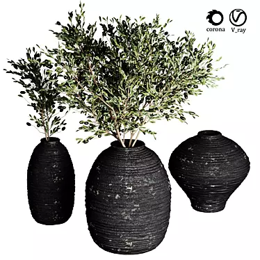 Indoor Plant Collection 26 3D model image 1 