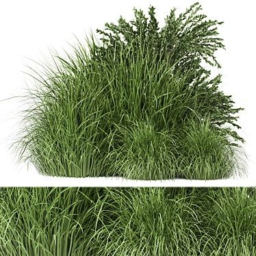 Outdoor Bush Plants Set 197 | 3dsMax + Vray/Corona 3D model image 1 
