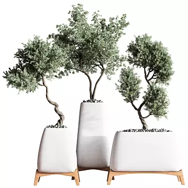 Green Haven Indoor Plant Set 3D model image 1 