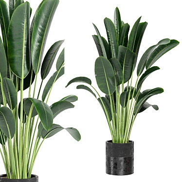 Indoor Plants Collection - Set 198: 3D Model Bundle 3D model image 1 